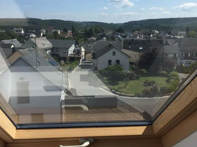 从 Holzhausen 顶层望出的景色